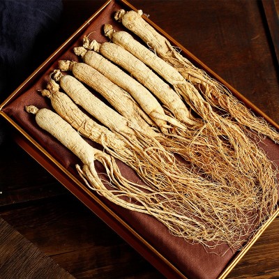 【精品人参礼盒】长白山生晒参 250g/盒 精选全须人参 11-13支图3