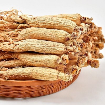 【精品人参礼盒】长白山生晒参 250g/盒 精选全须人参 11-13支图4