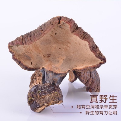 【长白山发货】灵芝 长白山仿野生灵芝 整朵灵芝 赤灵芝/切片图3
