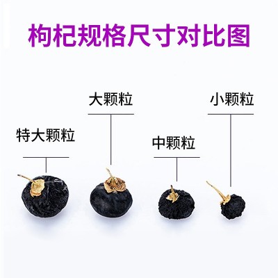 黑枸杞新货新疆黑枸杞罐装100g礼品花青素食品头茬黑枸杞子批发图4