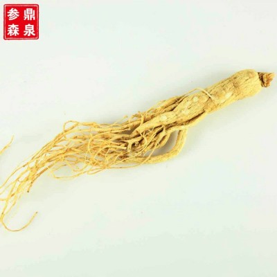 东北长白山17g全须白参 礼盒装送礼佳品煲汤生晒人参图3