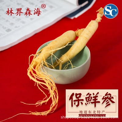 保鲜参东北长白山人参带执行标准人参火锅煲汤人参支持代加工图2