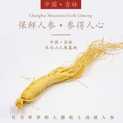 OEM代加工贴牌SC认证保鲜参长白山新鲜人参资质齐全图5