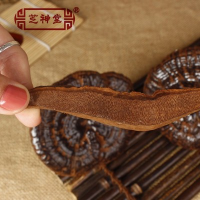 OEM 破壁灵芝孢子粉贴牌金寨灵芝原料图4