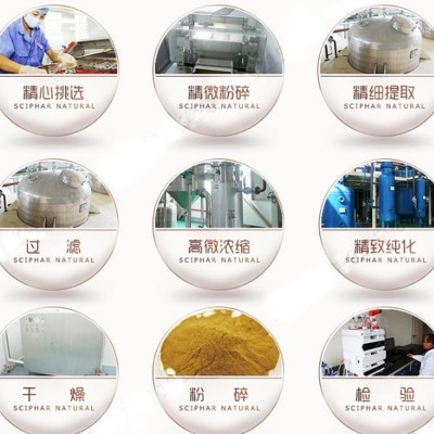 实体厂家鱼胶原蛋白肽粉 深海鳕鱼提取低聚肽 小分子活性肽 500g图3