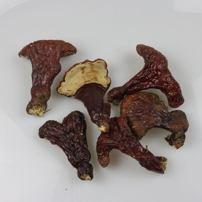 长白山灵芝 林下灵芝 紫灵芝500克一件批发图2