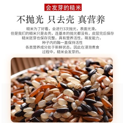 智膳堂三色糙米新米五谷杂粮红米黑米糙米粗粮玄米饭图3