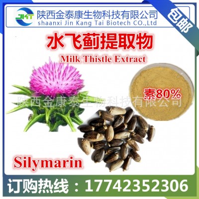 水飞蓟提取物水飞蓟素80% Silymarin 另水飞蓟宾多种规格500g每袋