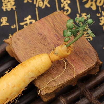 保鲜参长白山人参东北特产泡酒药材袋装参煲汤白皮参林下参地摊图4