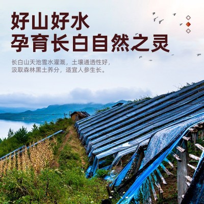 长白山鲜人参林下新鲜人参东北带土先挖新鲜人参泡酒料煲汤500g图3
