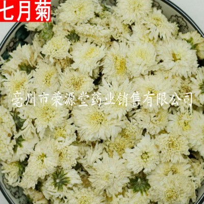 批发花草茶 菊花 七月菊 花草茶大全 量大从优