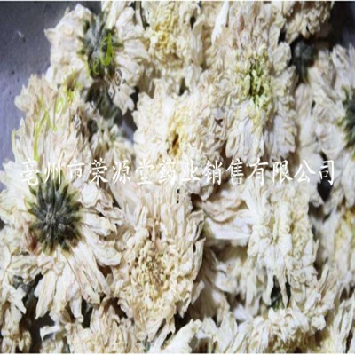 批发花草茶 菊花 七月菊 花草茶大全 量大从优图4