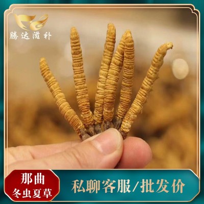 西藏特产那曲虫草 产地批发高海拔冬虫夏草 散装完整草 尾巴代发
