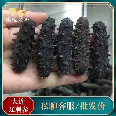 工厂批发 大连海参 批发海参干货 大连A级纯淡干海参海鲜辽刺参
