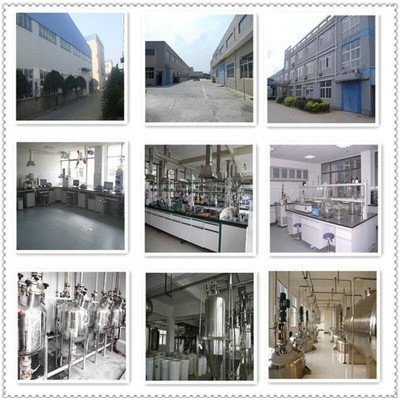 白扁豆提取物 10:1 厂家现货供应 白扁豆粉 沣禾生物 三证齐全图4