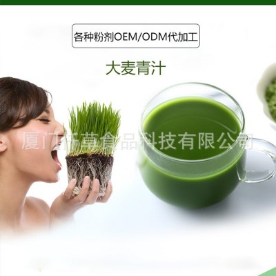 酵素果粉 果蔬酵素粉代工 若叶青汁粉 综合果蔬粉OEM图3