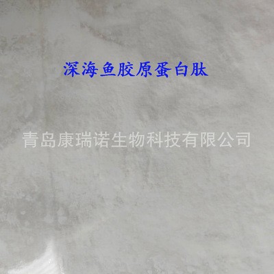 供应深海鱼胶原蛋白肽粉 深海鳕鱼皮胶原蛋白 鱼胶原蛋白粉图3