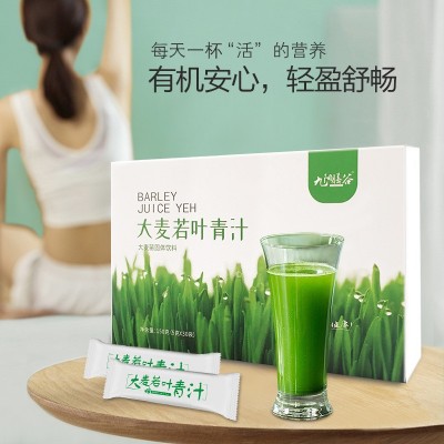 大麦若叶青汁粉 大麦苗粉膳食纤维代餐粉大麦若叶青汁代加工