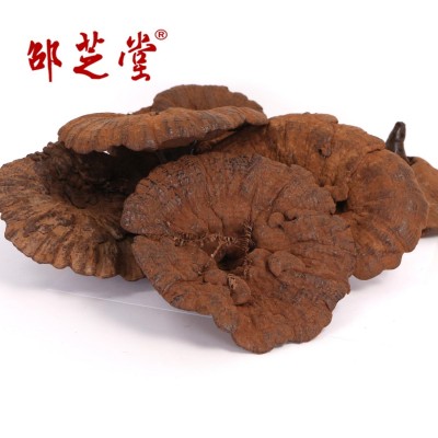 产地供应仿野椴木紫灵芝黑芝切片带草附孢子粉不苦野外种植250g图1