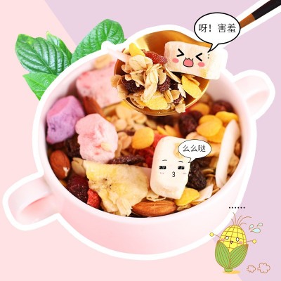 烘焙酸奶水果坚果燕麦片干吃即食果粒混合麦片谷物代餐批发印logo图3