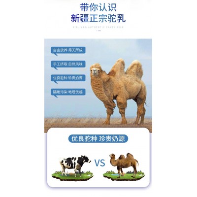 厂家现货白云山和黄益生菌骆驼奶营养粉蛋白粉贴牌粉剂生产厂家图2