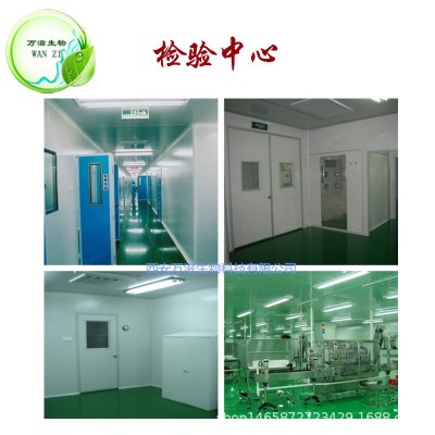 维生素B1 98% 硫胺素盐酸盐 盐酸硫胺 67-03-8 万滋生物原料 kg装图4
