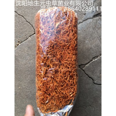 一件12KG虫草花蛹虫草新会北虫草排草装产地批发图2