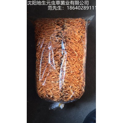 一件12KG虫草花蛹虫草新会北虫草排草装产地批发图4