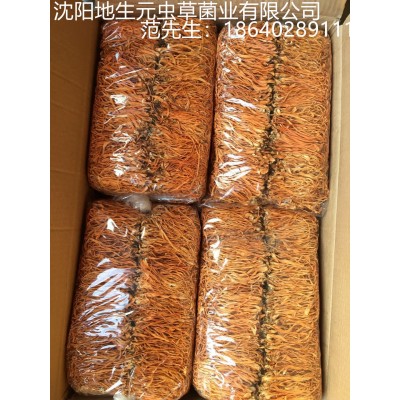一件12KG虫草花蛹虫草新会北虫草排草装产地批发图3