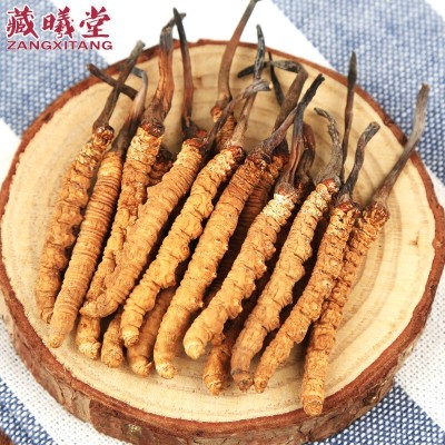 藏曦堂 冬虫夏草 西藏那曲冬虫夏草 虫草 具体包装联系客户图3