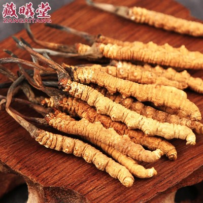 藏曦堂 冬虫夏草 西藏那曲冬虫夏草 虫草 具体包装联系客户图2