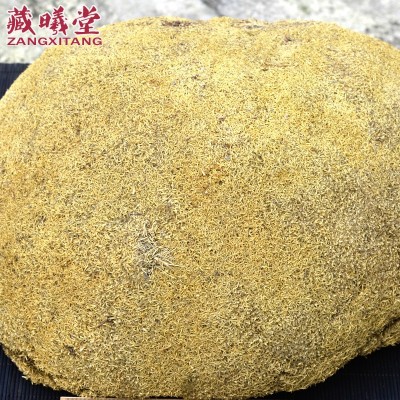 西藏 雪灵芝 草灵芝 特产 药材图4