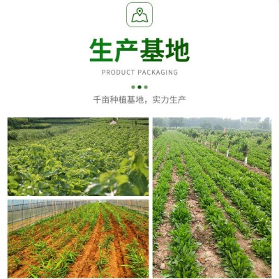 现货包邮 蔓越莓粉 水溶蔓越莓果粉 速溶果粉 提供免费样品 海赛图5