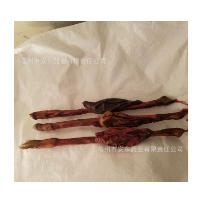 产地直销批发各种规格大小鞭量大从优干净特大牛鞭物美价廉图4
