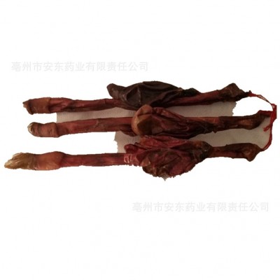 产地直销批发各种规格大小鞭量大从优干净特大牛鞭物美价廉图5