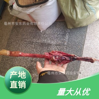 产地直销批发各种规格大小鞭量大从优干净特大牛鞭物美价廉