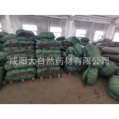 【10+年老店】Ceylon cinnamon 锡兰肉桂图4