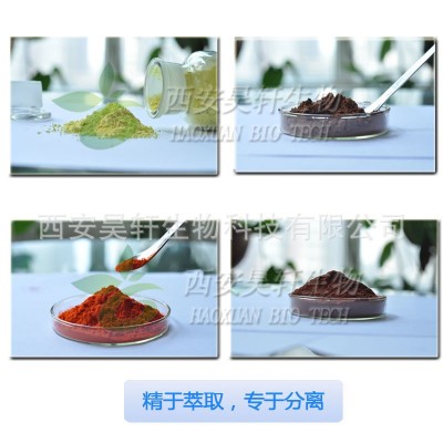 肉苁蓉提取物5:1 10:1 松果菊苷TLC可检出 现货直发图2