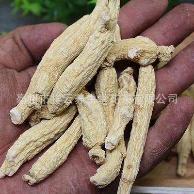 供应批发人参 东北长白山人参干白参散装每支6克左右光生晒参50克图2