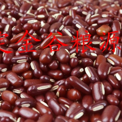 赤小豆熟的长粒生赤小豆批发供应3公斤起批图2