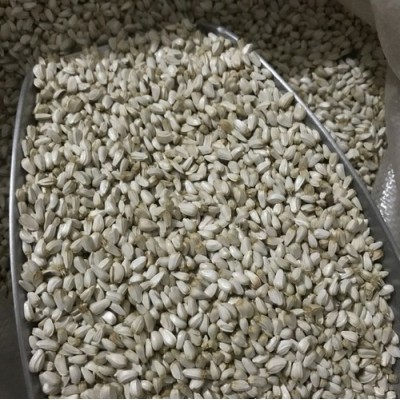 红花的种子   红花子 可冷榨油用 也可种植新疆红花子图4