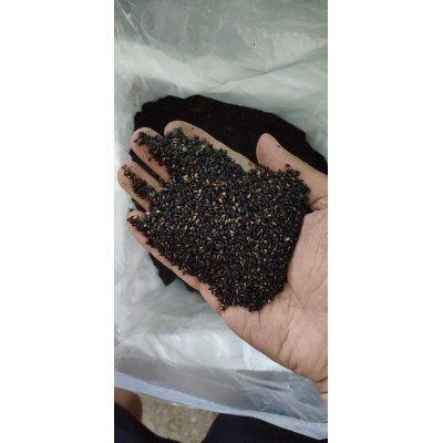 黑芝麻熟的低温烘焙黑芝麻一级熟黑芝麻色选全黑图2