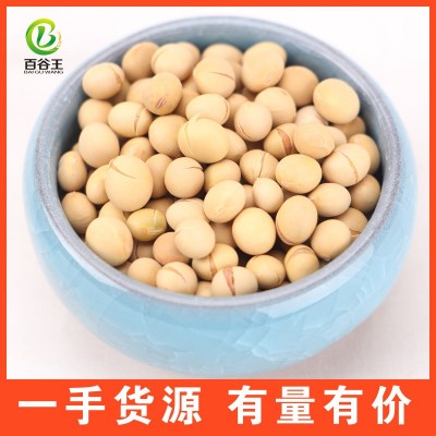 厂家直销 低温烘焙五谷杂粮 熟黄豆批发 现磨豆浆原料 烘焙杂粮图2