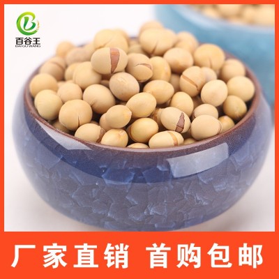 厂家直销 低温烘焙五谷杂粮 熟黄豆批发 现磨豆浆原料 烘焙杂粮图4