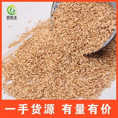 厂家直销 低温烘焙五谷杂粮 熟燕麦批发 现磨豆浆原料 烘焙杂图3