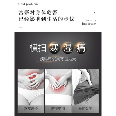 坐灸仪家用妇科艾灸熏蒸坐垫垫子坐熏坐炙宫寒臀部益生温坐旗舰盒图2