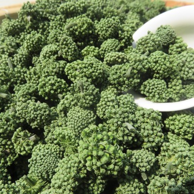 云南文山三七花3年花4年新花四年生农家田七花茶500g产地批发图4