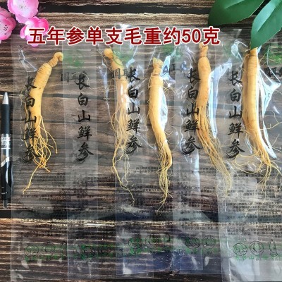 人参长白山鲜人参泡酒炖汤足龄保真东北特产保鲜参图5