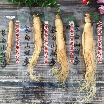 人参长白山鲜人参泡酒炖汤足龄保真东北特产保鲜参图2