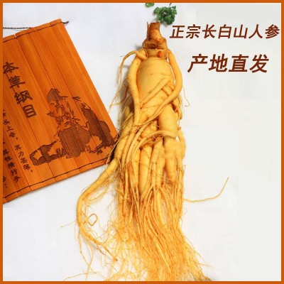 人参长白山鲜人参泡酒炖汤足龄保真东北特产保鲜参
